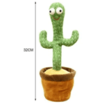 Cactus bailarin-OR84